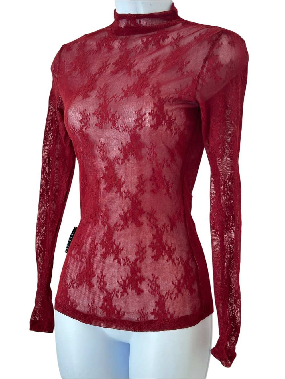Missguided Festival Sheer Floral Lace Long-Sleeve Top XS Burgundy Whimsigoth